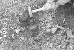 A geologist samples outcrop at the Blacktop project in British Columbia.