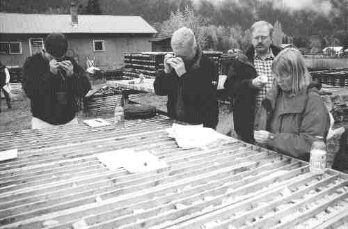 Linda Dandy, project geologist for Sultan Minerals at its Kena project in southern British Columbia, displays recently drilled core to analysts.