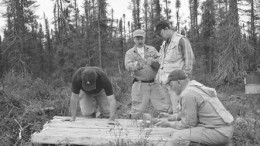 Robert Boyd, Ashton's president and CEO (left), Pierre Bertrand, vice-president of exploration with Soquem, Brooke Clements, Ashton's vice-president, and Robert Lucas, project geologist, examine drill core from a mini-bulk sample from the Renard 3 kimberlite in the Otish Mountains of north-central Quebec.