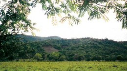 A view of the Globestar's Cerro de Maimn deposit. In the foreground is the proposed site for a recently optioned 2,500-tonne-per-day mill.