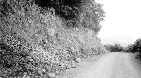 Photo by Stuart McDougallAn outcrop of the Seyliktepe prospect at the Altintepe property.