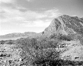 A view of the Hualilan gold property in Argentina in the late 1990s.