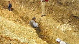 Geologists and analysts line a trench looking for signs of gold mineralization at the Tolvana prospect on FreeGold Ventures' Golden Summit property in Fairbanks, Alaska. Meridian Gold can earn a 70% interest in the property.