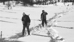 Field personnel personnel prepare a geological survey grid on Ashton Mining of Canada's Foxtrot property in the Otish mountains of north-central Quebec.