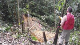 Petaquilla Minerals geologist David Nowak examines a pit on the NW zone at the Molejon gold project in Panama.