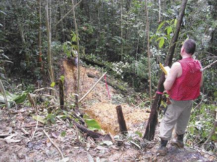 Petaquilla Minerals geologist David Nowak examines a pit on the NW zone at the Molejon gold project in Panama.