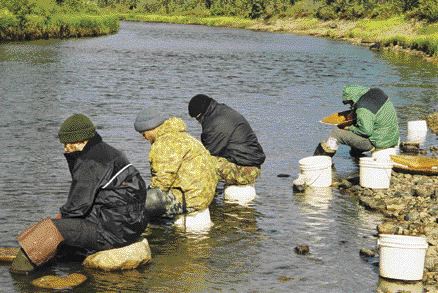 Diamondex Resources field personnel employ a Russian stream-sediment sampling method that involves sampling major streams for kimberlite indicator minerals using a hand-carved cedar pan, then gradually zeroing in on the most promising areas with detailed sampling in nearby tributaries that bear indicator minerals.