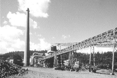 The stack of the 200 MW thermal power plant at the Falcondo ferronickel operation in the Dominican Republic, 20% of which is now owned by Swiss mining firm Xstrata.