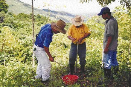 Sampling nickel-laterite ore in the hills above Guatemala's Lake Izabal.