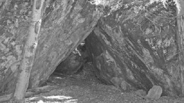 Jake's Cave -- J.A. "Jake" Davidson spent a winter in this cave near the Young-Davidson mine west of Matachewan, Ont. around 1910, having panned his way up the Montreal River to the source of gold colour. Davidson had prospected in the Keno Hill area of the Yukon around the turn of the century and later worked in the area around Rouyn, Que.