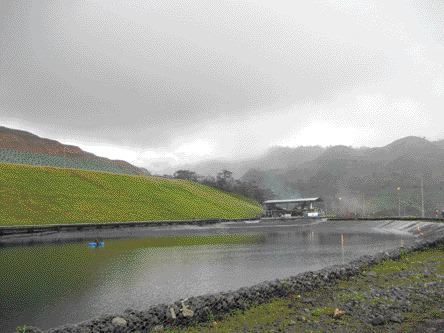 BY GEORGE WERNIUKA collection pond at the base of the Bellavista mine leach pad collects pregnant solution. The ADR (adsorption-desorption, regeneration) plant at the far end of the pool processes the solution to extract the gold.