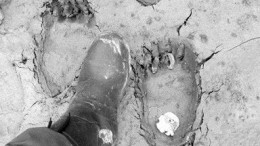 We're not alone. A NovaGold employee provides a size comparison against some bear prints at the company's Galore Creek copper-gold-silver project, 150 km northeast of Stewart, B.C.