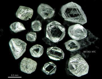 SHEAR MINERALSA group shot of some of the larger macrodiamonds (mainly white octahedrons) from Shear Minerals' Notch discovery in eastern Nunavut.