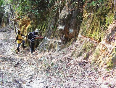 MANO RIVER RESOURCESChannel sampling in the Sula Mountains of Sierra Leone.