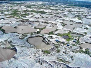 YAYASAN TAMBUHAK SINTA/KALIMANTAN GOLDAn aerial view of the artisanal gold fields in the Galangan area, which have been described as a "lunar landscape."