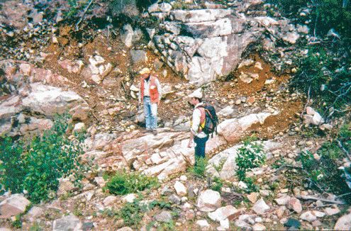 BY JAMES WHYTEBruce Jago (left), Wallbridge Mining's vice-president of exploration, and Joshua Bailey, senior project geologist, examine a surface showing at the Frost Lake property, north of Capreol, Ont.