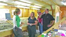 BY GWEN PRESTONNorthern Freegold Resources vice-president Susan Craig and president Bill Harris with a project geologist in the Nucleus/Revenue core shed at the Freegold Mountain project, in the Yukon.