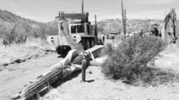 Preparing a cactus for relocation at Baja Mining's El Boleo project, in Mexico. During expansion, the company moved cacti to its on-site green house, in an effort to alleviate environmental impact.