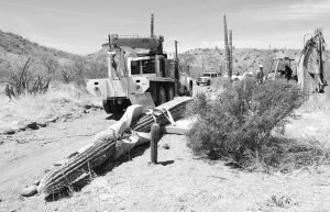 Preparing a cactus for relocation at Baja Mining's El Boleo project, in Mexico. During expansion, the company moved cacti to its on-site green house, in an effort to alleviate environmental impact.