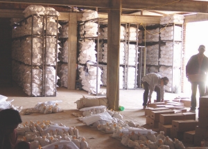 The core warehouse at Paramount Gold and Silver's San Miguel project. The property is located in the Guazapares mining district of southwestern Chihuahua, part of Mexico's silver-rich Sierra Madre Occidental belt.