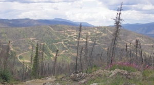 Northern Freegold Resources' Freedgold Mountain project in the Yukon. Hole 68 at the project cut 37.8 metres grading 10.41 grams gold per tonne and 0.29% copper from 42 metres down-hole.