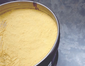 Yellowcake at Cameco's Rabbit Lake uranium project, in Saskatchewan.