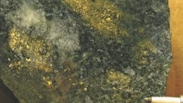 Visible gold in core from hole F2-29, drilled at Rubicon Minerals' Phoenix gold project. The company's stock rose 38% recently on news of a set of bonanza intercepts from the Red Lake, Ont.-area project.