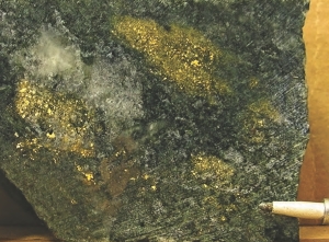 Visible gold in core from hole F2-29, drilled at Rubicon Minerals' Phoenix gold project. The company's stock rose 38% recently on news of a set of bonanza intercepts from the Red Lake, Ont.-area project.