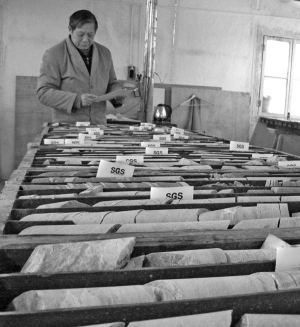 Li Chuping, a senior geologist, examines core samples from Jinshan Gold Mines' Dadiangou gold project, in China's Gansu province. Highlights from the third phase of drilling at the project include 34 metres (26.1 metres true width) of 3.4 grams gold per tonne and 24 metres (14.1 metres true width) of 1.6 grams gold.