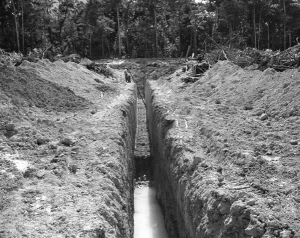 A trench cut at First Bauxite's Bonasika licence, 75 km southwest of Georgetown, in Guyana.