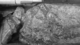 Visible molybdenum in a core sample from Bard Ventures' Lone Pine project, 15 km northwest of Houston, B. C.
