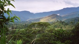 Corriente Resources' Mirador Norte copper deposit in Ecuador. Credit: Corriente Resources