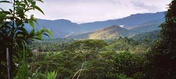 Corriente Resources' Mirador Norte copper deposit in Ecuador. Credit: Corriente Resources