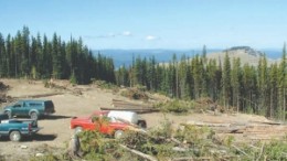 Goldcliff has just released the results from it 2008 drilling program on the York-Viking zone of its Panorama Ridge gold property near Hedley, B.C.
