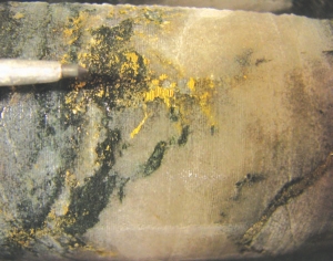 Visible gold in core samples at Rubicon Minerals' Phoenix gold project in Red Lake, Ont.