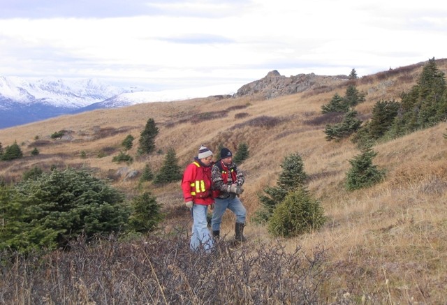 The Highland area of the Turnagain nickel project in B.C. Credit: The Northern Miner