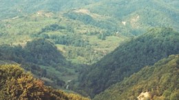 A view of Carpathian Gold's Rovina copper-gold porphyry in Romania, taken from near the Colnic gold-copper porphyry in late 2006.