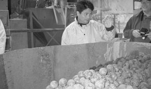 Robert Guanzon, CFO of Fire River Gold, inspects steel balls used in the ball mill at the Nixon Fork gold mine near McGrath, Alaska, during a site visit.