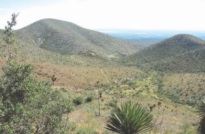 Quaterra Resources' Sierra Sabino prospect in Mexico. The company believes the prospect has Penasquito-type potential.