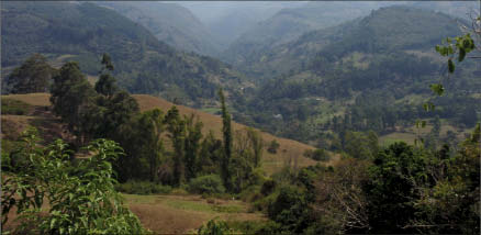 Ventana Gold's La Bodega project in the California-Vetas gold mining districtof northeastern Colombia. Photo by Ventana Gold