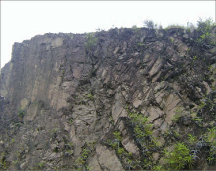 At Reunion Gold's Matthews Ridge manganese project in Guyana. Photo by Reunion Gold