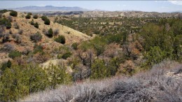 Augusta Resource's Rosemont copper-silver project in Arizona, one of Silver Wheaton's silver streams. Photo by Augusta Resource