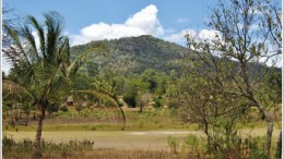 Looking east at Pacific Wildcat Resources' Mrima Hill rare earth-niobium project in southeastern Kenya. Photo by Pacific Wildcat Resources