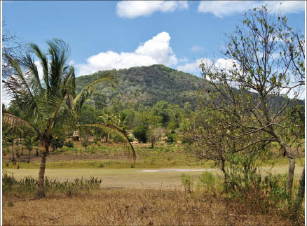 Looking east at Pacific Wildcat Resources' Mrima Hill rare earth-niobium project in southeastern Kenya. Photo by Pacific Wildcat Resources