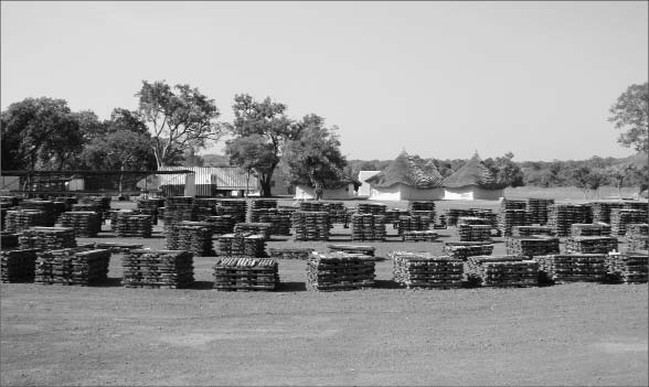 Core stacked at Rockgate Capital's exploration camp at the Falea uranium-silver-copper project in southwestern Mali. Photo by Rockgate Capital