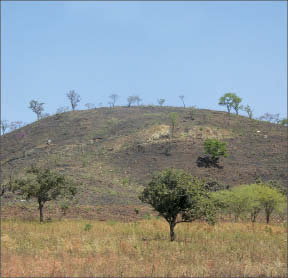 Roxgold's Yaramoko gold project in Burkina Faso. Photo by Roxgold