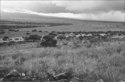 The landscape at Orko Silver and Pan American Silver's La Preciosa silver-gold project in Durango, Mexico. Photo by Pan American Silver