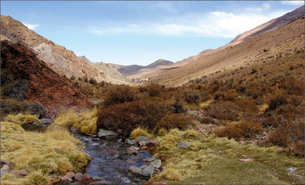 Coro Mining's San Jorge copper-gold porphyry project in Mendoza province, Argentina.  Coro Mining on FTP