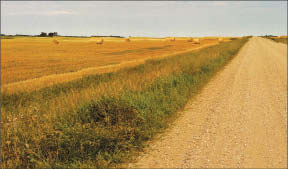 A planned drill site at North Atlantic Potash and Rio Tinto's potash project in Saskatchewan. Photo by North Atlantic Potash