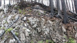 The Ted vein outcropping at Independence Gold's 3Ts gold-silver project in central British Columbia. Photo by Independence Gold